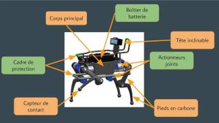 Research Talk (in all French): ANYmal - A Highly Mobile and Dynamic Quadrupedal Robot