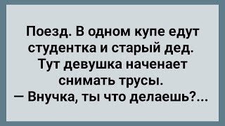 Студентка и Старый Дед в Купе! Сборник Свежих Анекдотов! Юмор!