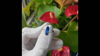 Handmade Blue Solid Boulder Opal ring