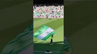 Espectáculo "La Banda del Campeón" en la previa del partido Betis-Real Sociedad.19-05-24 #realbetis