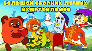 Большой сборник летних мультиков ✨ Мультфильмы для детей 🎬 Даша ТВ