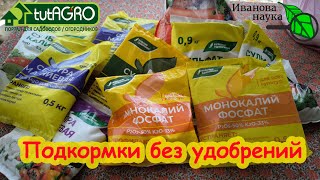 СРАЗУ 7 СХЕМ ПОДКОРМОК ДЛЯ ТОМАТОВ, ОГУРЦОВ, ПЕРЦЕВ и других растений БЕЗ УДОБРЕНИЙ!