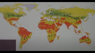 1 миллиард куда? Тотальная миграция в мире. ( Даниель Сачков )