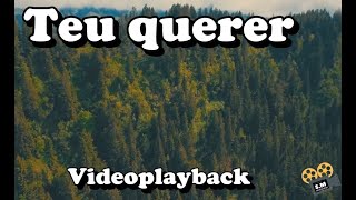 Teu Querer - Videoplayback com legenda - Elaine Martins