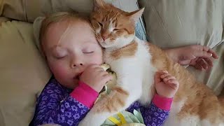 When your cat become a special friend 👶❤️🐱Cute Cats and Human