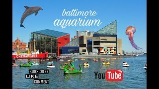 BALTIMORE AQUARIUM VLOG | HAPPY BIRTHDAY TO ME