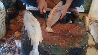 Amazing Big Bhola Fish Cutting Skills 🔥 Amazing Big Sea Fish Cutting Style