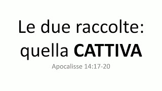 4. Le due raccolte: quella CATTIVA. Daniele Centeno.