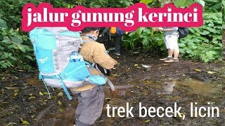 jalur gunung kerinci 3805 mdpl |  Jambi | Trek Licin