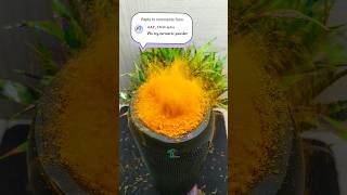 TURMERIC POWDER JBL EXTREME BASS TEST