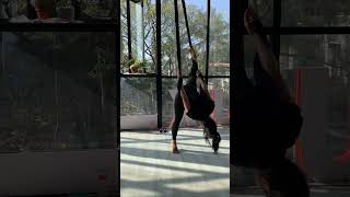 Aerial Yoga Bangalore: Aerial Yoga Classes & Certification Course Bangalore Indiranagar #Shorts 09