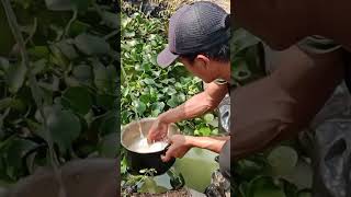 Petani muda melinial mau masak nasi ngedadak ngegiling padi dulu jdi beras dadakan ⁉️#short