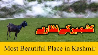 Most Beautiful Place in Kashmir//Kashmir view