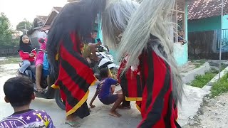 Tiga Barongan Galak Nangkap Pengejek!! Barongan Blora & Reog Ponorogo SEKAR GADENG SETO