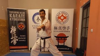 Trening nr 2 - Techniki uderzeń i bloków w pozycji cz.1 | Shihan Artur Wilento 5dan Kyokushin Karate