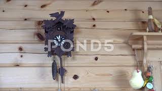 a another cuckoo clock video that is not mine