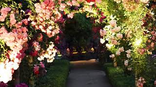 Secret Garden - Passacaglia