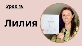 Уроки рисования с нуля | 16 урок для новичков