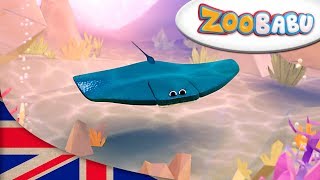 Zoobabu | Stingray AND MORE | Cartoons for Children