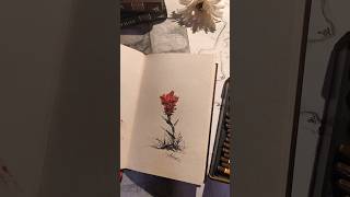 Rose drawing 🌹#art #process #drawing #sketch #artist #illustration #flower #rose #beautiful #howto