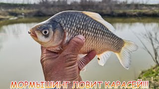 МОРМЫШИНГ ловит карасей!!! Как ловить на мормо?