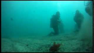 Diving at Shelly Beach, Manly