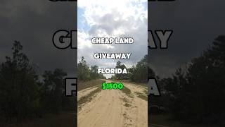 Cheap land in Florida for $1,500 #foryou #realestate #cheap #shorts #land #property #investing #fyp