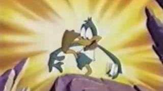 The Plucky Duck Show Intro