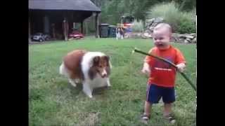 Baby and Dog play with Hose  Best Funny Video