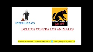 Delitos contra los animales