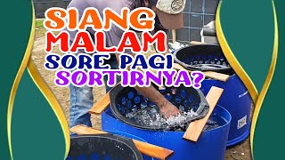 #dtvlele JAM Berapa SIH Yang IDEAL, AMAN dan Nggak MABOK Buat Sortir IKAN?