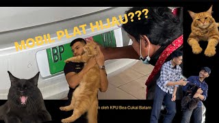 Mobil platnya warna hijau? Jenis Kendaraan di Batam