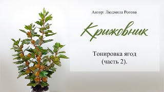 9  Тонировка ягод часть 2