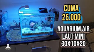 Aquarium Mini Air laut buat di Ruang tamu yang sempit 30x10x20 cm Cuma 25ribu #reeftank