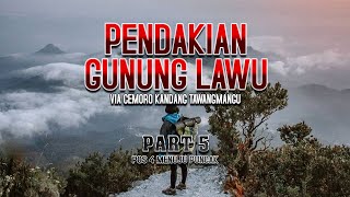 PENDAKIAN GUNUNG LAWU VIA CEMORO KANDANG CUACA EKSTRIM HUJAN KABUT PART 5 RUTE POS 4 KE PUNCAK LAWU