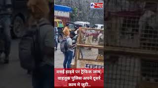 वसई हाईवे पर ट्रैफिक जाम वाहतूक  पुलिस अपने दूसरे ही काम में लगी।#shorts#viralvideo #vasaivirarnews