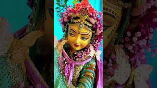 ❤️🥀Radha Rani ❤️🥀# Radha Rani #jaishreekrishna #premmandirvrindavan #status #shortvideo 🥀🥀