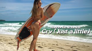 Andrey Bo & Amina - Cry (Just A Little) Cover Mix