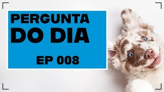 Cadelas adotadas que começaram a brigar: aonde estão os erros?