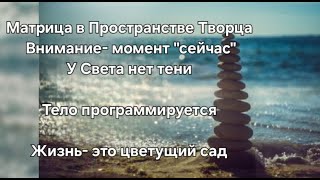 Матрица в Пространстве Творца. Каждый делает СВОЙ Переход. У Света нет тени. Слово "нет". Matrix