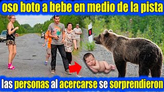 Oso Boto A Una Beb3 En Medio De La Carretera, Pero Cuando La Gente Se Acerco Se Sorprendieron.