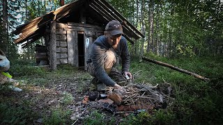 ТРИ НОЧИ В ДИКОЙ ТАЙГЕ. МЕДВЕДЬ РАЗОРИЛ СХРОН. ЗАБЛУДИЛСЯ. РЫБАЛКА.