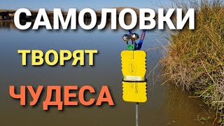 ЭТИ САМОЛОВКИ ТВОРЯТ ЧУДЕСА!!! ЩУКА, СУДАК! РЫБАЛКА НА САМОДЕЛЬНЫЕ САМОЛОВКИ!