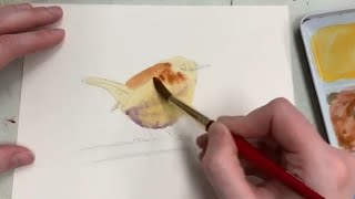 How to: Wren in watercolor & ink