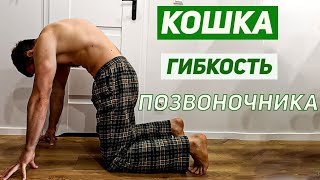 ✓ Здоровье и гибкость позвоночника ✓ Верни подвижность ✓