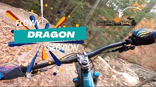 Dragon Trail Flow   4K