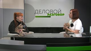 "Деловой разговор": о курильских бобтейлах и кошках в целом (Бийское телевидение)