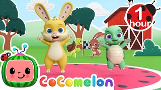 Tortoise and the Hare Dance Party | CoComelon Nursery Rhymes & Kids Songs