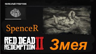 Превосходная Шкура Змеи. Red Dead Redemption 2.