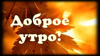 Доброго осеннего утречка! Хорошего дня! Позитивчик